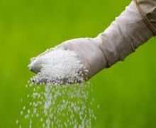 СБУ виявила 150 тонн контрафактних пестицидів